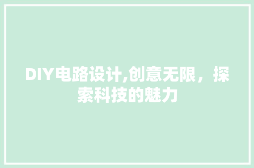 DIY电路设计,创意无限，探索科技的魅力 神马SEO