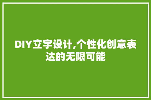 DIY立字设计,个性化创意表达的无限可能 网站建设公司