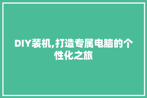 DIY装机,打造专属电脑的个性化之旅 神马SEO