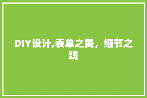 DIY设计,表单之美，细节之魂