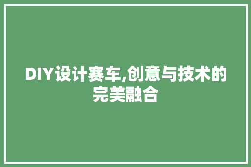 DIY设计赛车,创意与技术的完美融合
