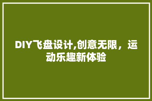 DIY飞盘设计,创意无限，运动乐趣新体验 SEO关键词