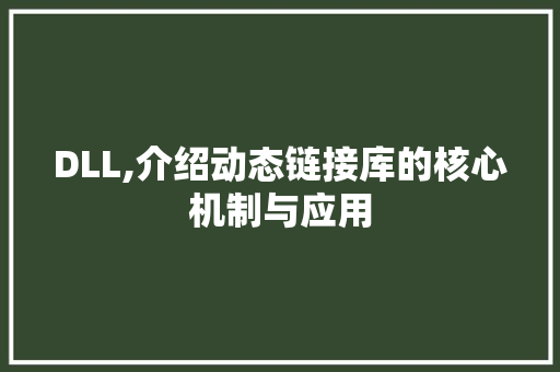DLL,介绍动态链接库的核心机制与应用 必应SEO