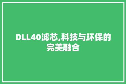 DLL40滤芯,科技与环保的完美融合