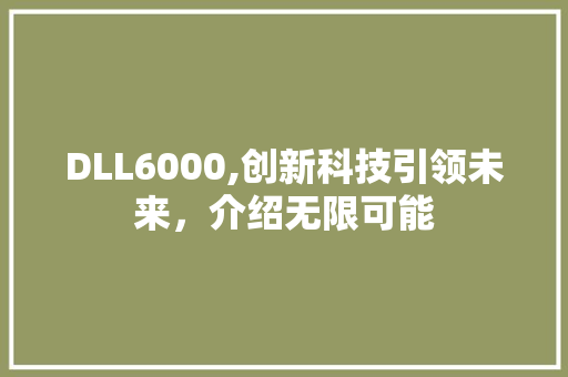 DLL6000,创新科技引领未来，介绍无限可能 必应SEO