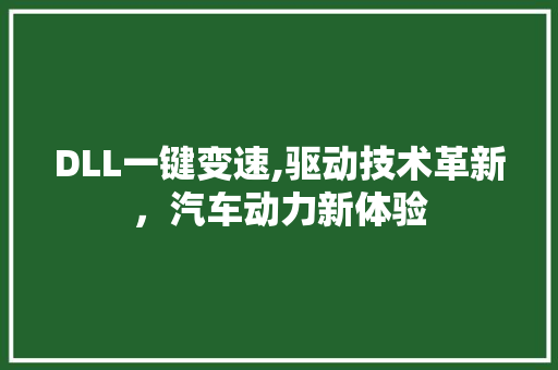 DLL一键变速,驱动技术革新，汽车动力新体验