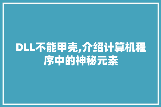 DLL不能甲壳,介绍计算机程序中的神秘元素