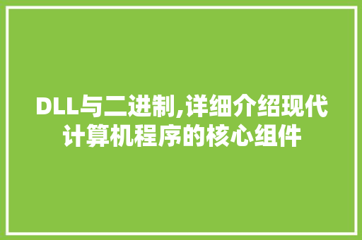 DLL与二进制,详细介绍现代计算机程序的核心组件 SEO关键词