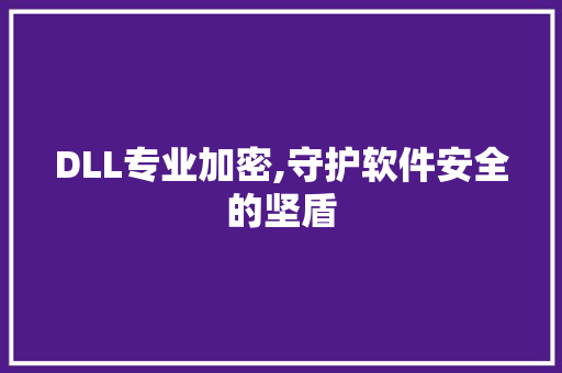 DLL专业加密,守护软件安全的坚盾 SEO关键词