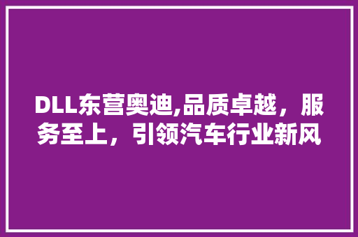 DLL东营奥迪,品质卓越，服务至上，引领汽车行业新风尚 SEO关键词