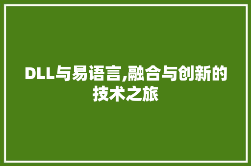 DLL与易语言,融合与创新的技术之旅 SEO关键词