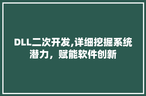 DLL二次开发,详细挖掘系统潜力，赋能软件创新