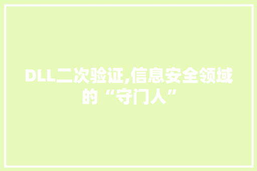 DLL二次验证,信息安全领域的“守门人”