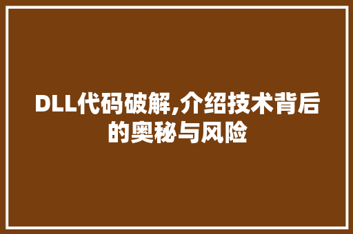 DLL代码破解,介绍技术背后的奥秘与风险