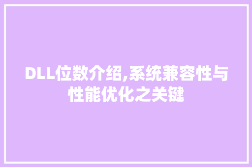 DLL位数介绍,系统兼容性与性能优化之关键