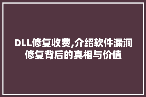 DLL修复收费,介绍软件漏洞修复背后的真相与价值
