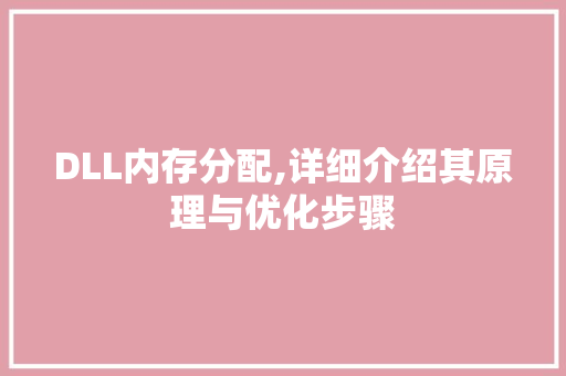 DLL内存分配,详细介绍其原理与优化步骤 SEO关键词