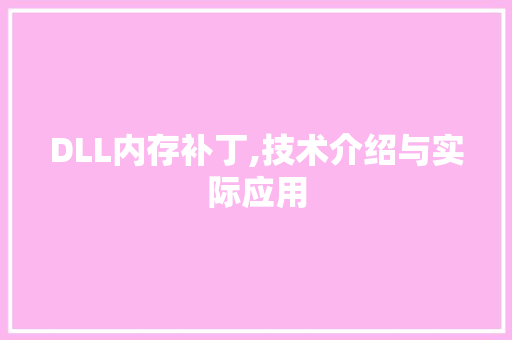DLL内存补丁,技术介绍与实际应用