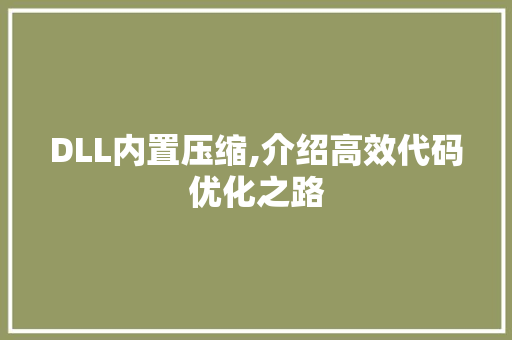 DLL内置压缩,介绍高效代码优化之路