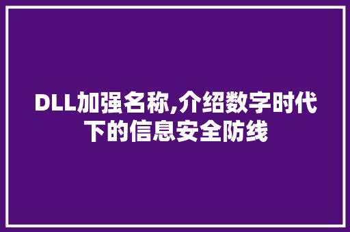 DLL加强名称,介绍数字时代下的信息安全防线