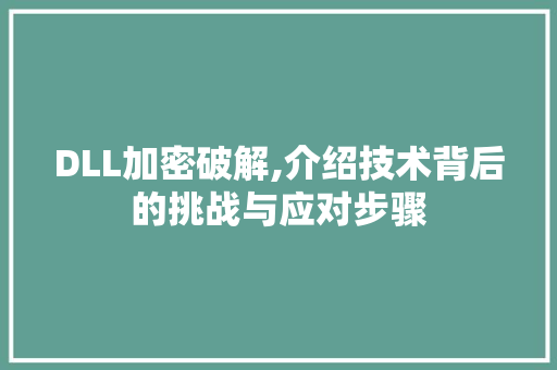 DLL加密破解,介绍技术背后的挑战与应对步骤