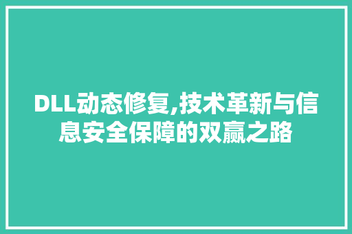 DLL动态修复,技术革新与信息安全保障的双赢之路