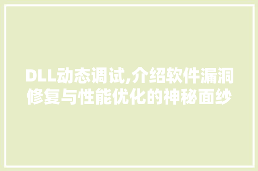 DLL动态调试,介绍软件漏洞修复与性能优化的神秘面纱