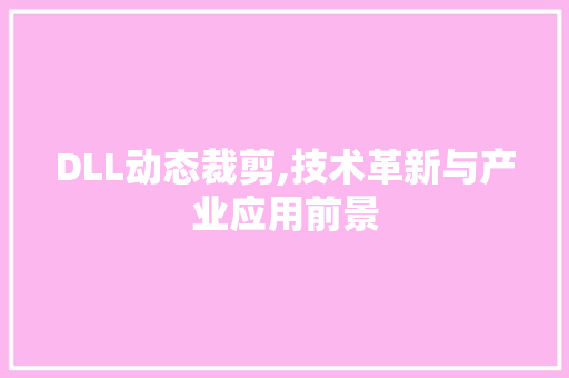 DLL动态裁剪,技术革新与产业应用前景