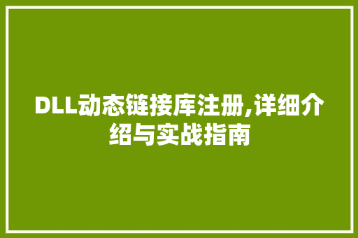 DLL动态链接库注册,详细介绍与实战指南