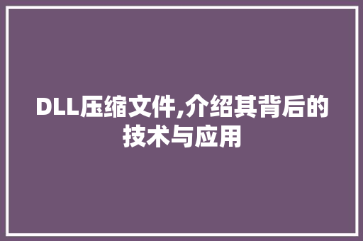 DLL压缩文件,介绍其背后的技术与应用