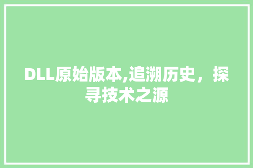 DLL原始版本,追溯历史，探寻技术之源