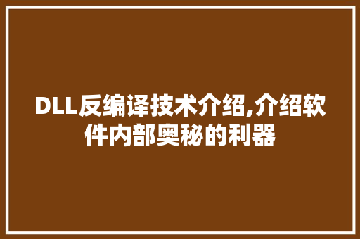 DLL反编译技术介绍,介绍软件内部奥秘的利器