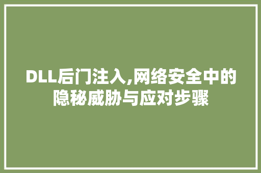 DLL后门注入,网络安全中的隐秘威胁与应对步骤 百度SEO
