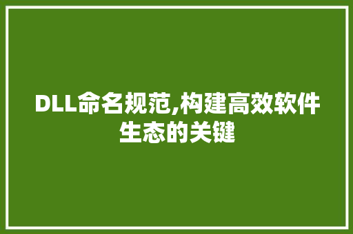 DLL命名规范,构建高效软件生态的关键