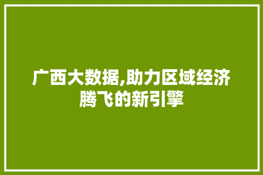 广西大数据,助力区域经济腾飞的新引擎