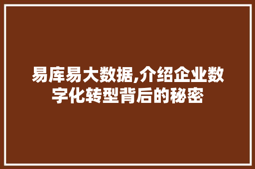 易库易大数据,介绍企业数字化转型背后的秘密