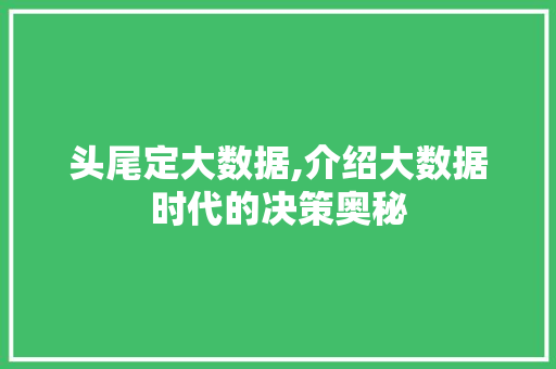 头尾定大数据,介绍大数据时代的决策奥秘 网站建设公司
