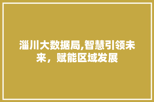 淄川大数据局,智慧引领未来，赋能区域发展 神马SEO