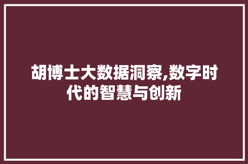 胡博士大数据洞察,数字时代的智慧与创新