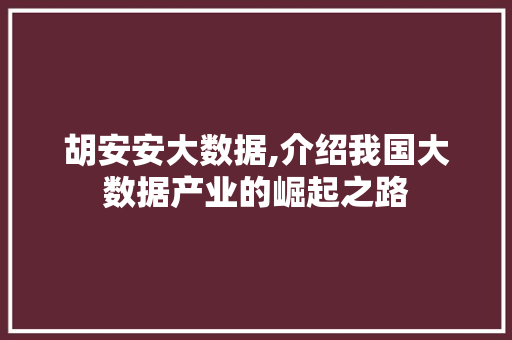 胡安安大数据,介绍我国大数据产业的崛起之路 神马SEO