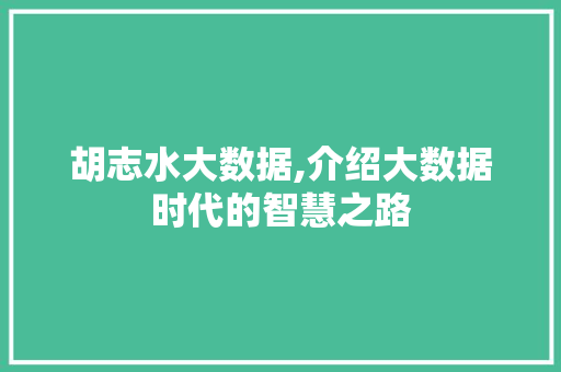 胡志水大数据,介绍大数据时代的智慧之路