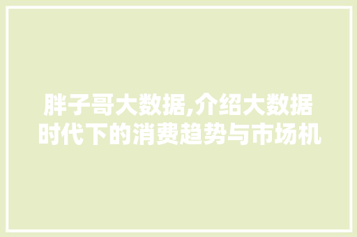 胖子哥大数据,介绍大数据时代下的消费趋势与市场机遇