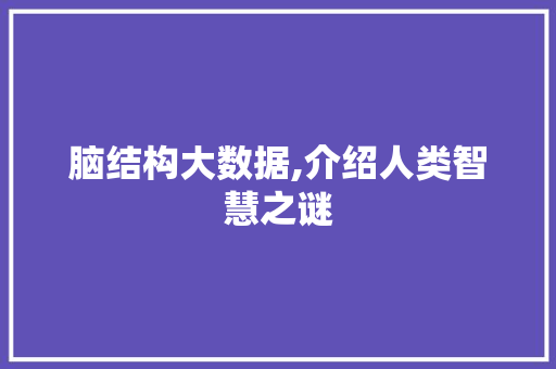 脑结构大数据,介绍人类智慧之谜