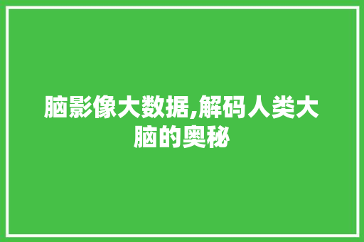 脑影像大数据,解码人类大脑的奥秘