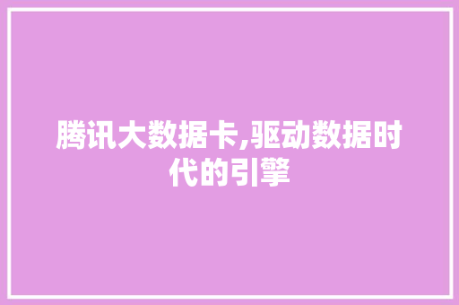 腾讯大数据卡,驱动数据时代的引擎
