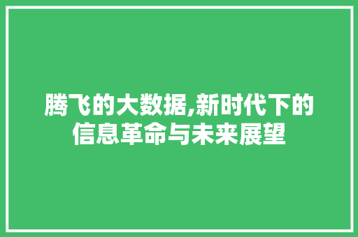腾飞的大数据,新时代下的信息革命与未来展望