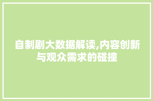 自制剧大数据解读,内容创新与观众需求的碰撞 SEO关键词