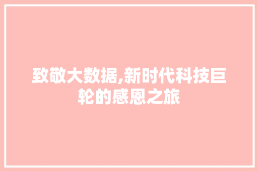 致敬大数据,新时代科技巨轮的感恩之旅 SEO关键词