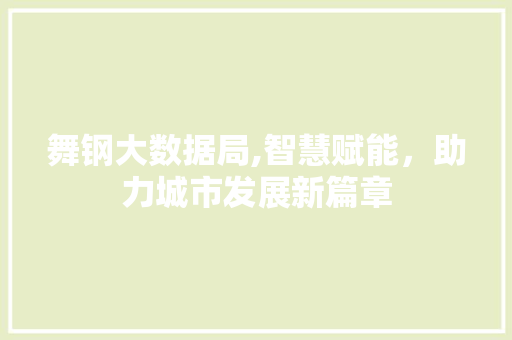 舞钢大数据局,智慧赋能，助力城市发展新篇章