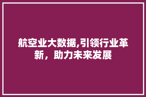 航空业大数据,引领行业革新，助力未来发展